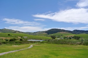 Stellenbosch 2013 001