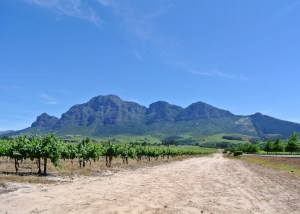 Stellenbosch 2013 002